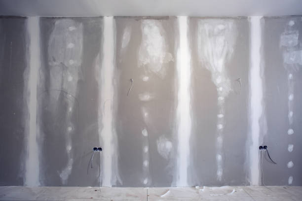 Best Forensic Mold Investigation  in Brogden, NC